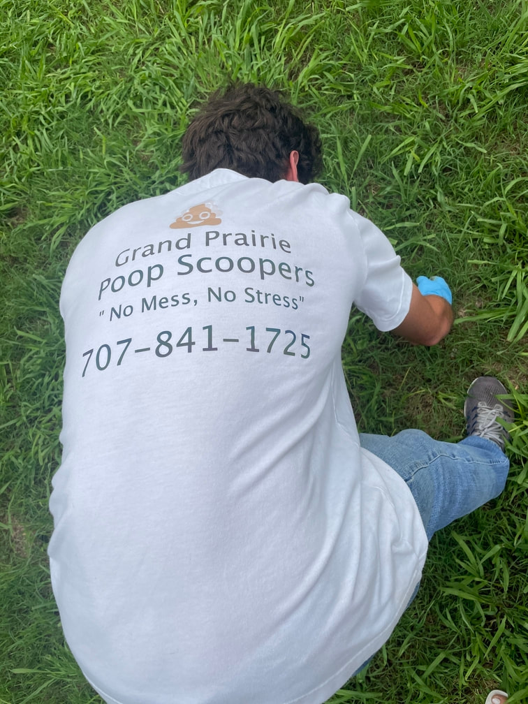 Picture of Poop Scooper cleaning pet waste. You can see a man bent over cleaning dog waste in a backyard.